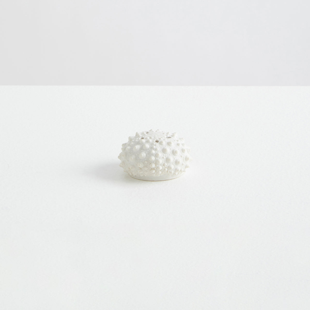 L'Oursin | The Sea Urchin