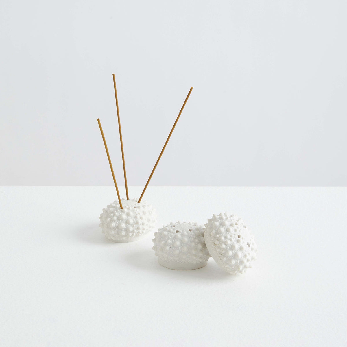 L'Oursin | The Sea Urchin